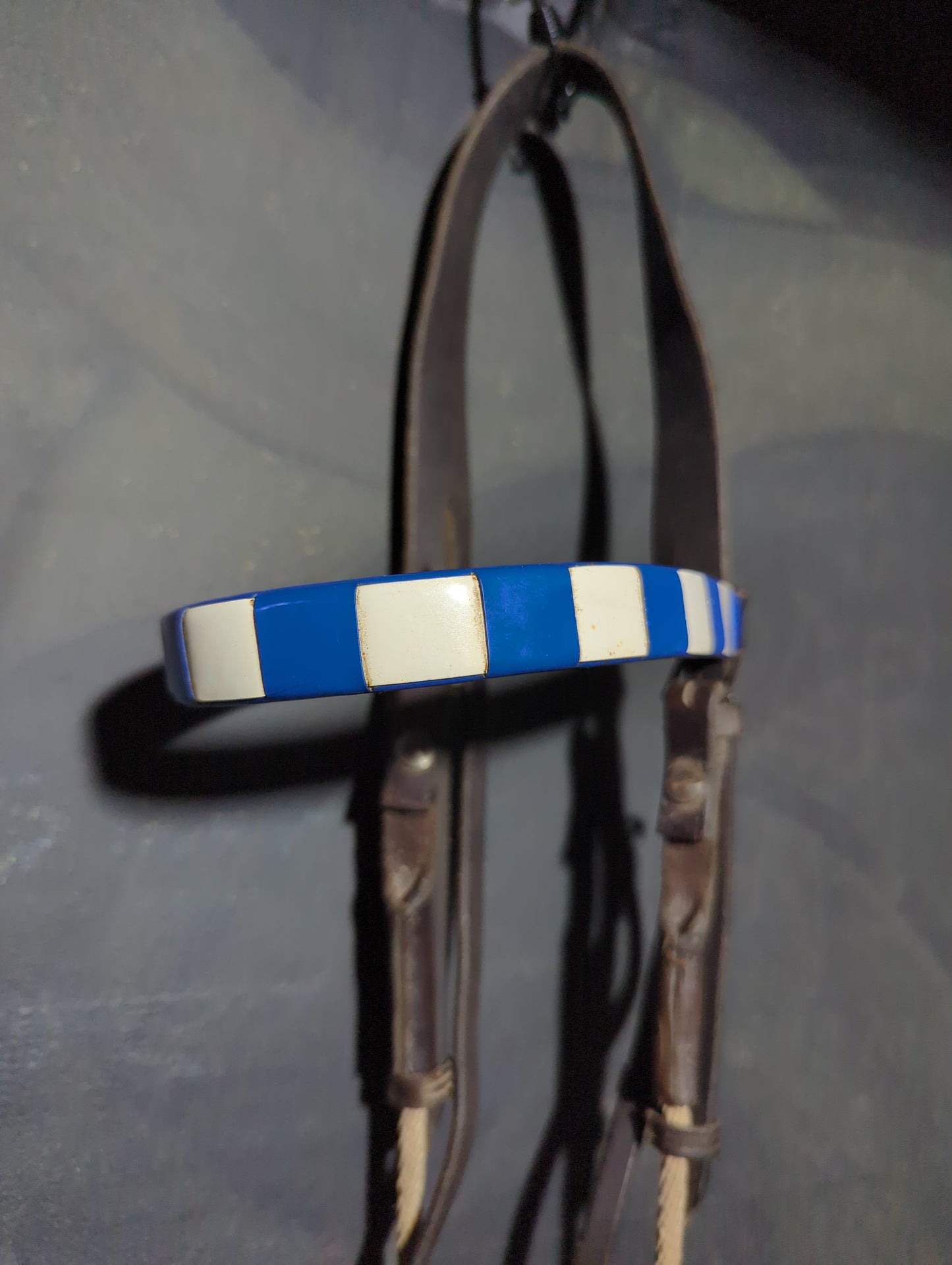 Campbell England Gag Bit Bridle