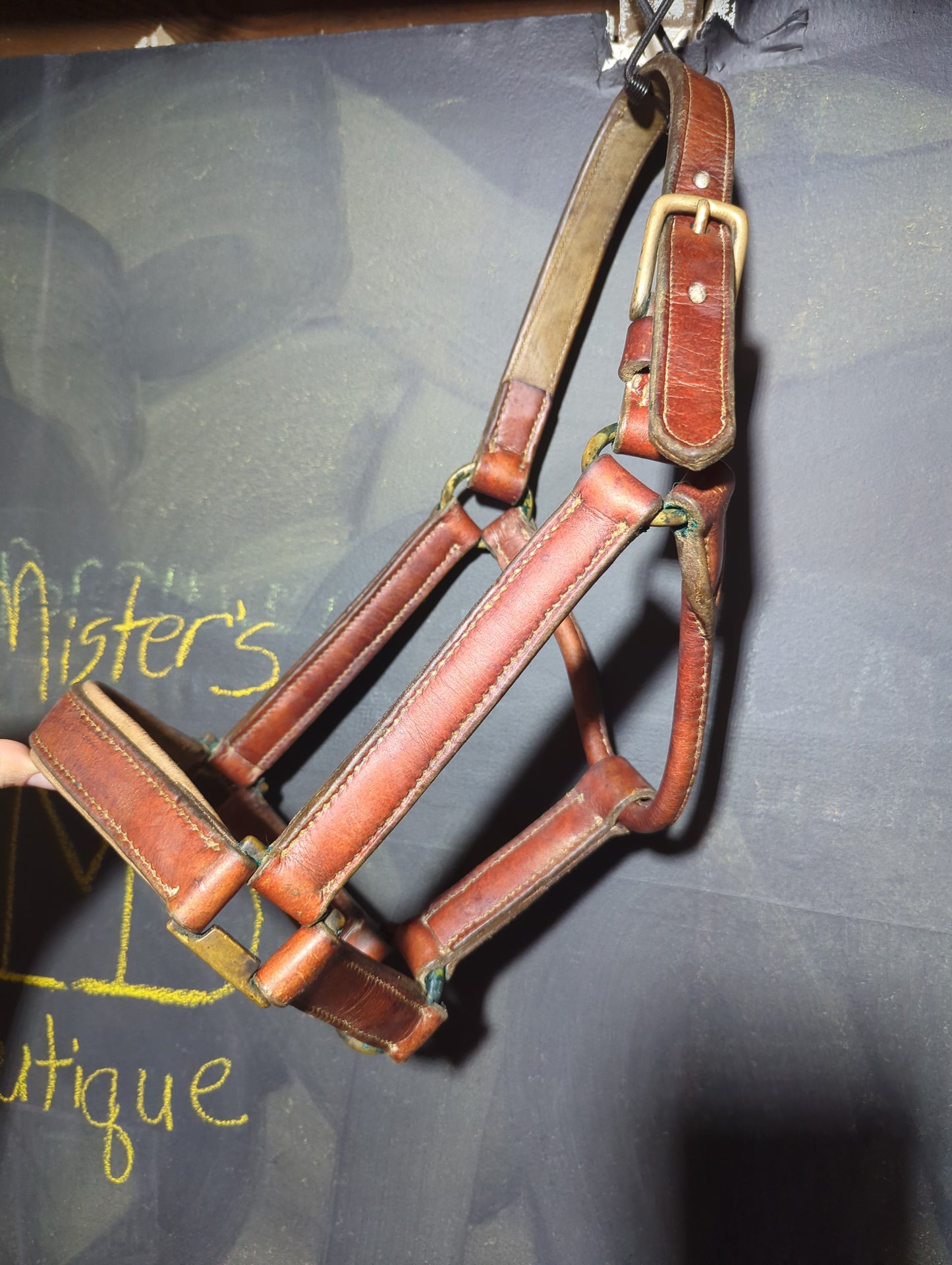 Heavy Leather Halter