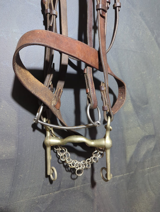 Double bridle