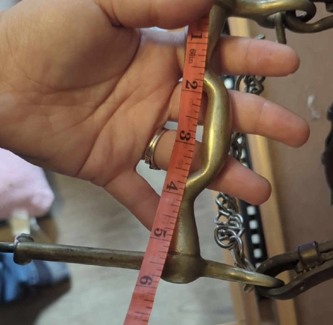 Double bridle