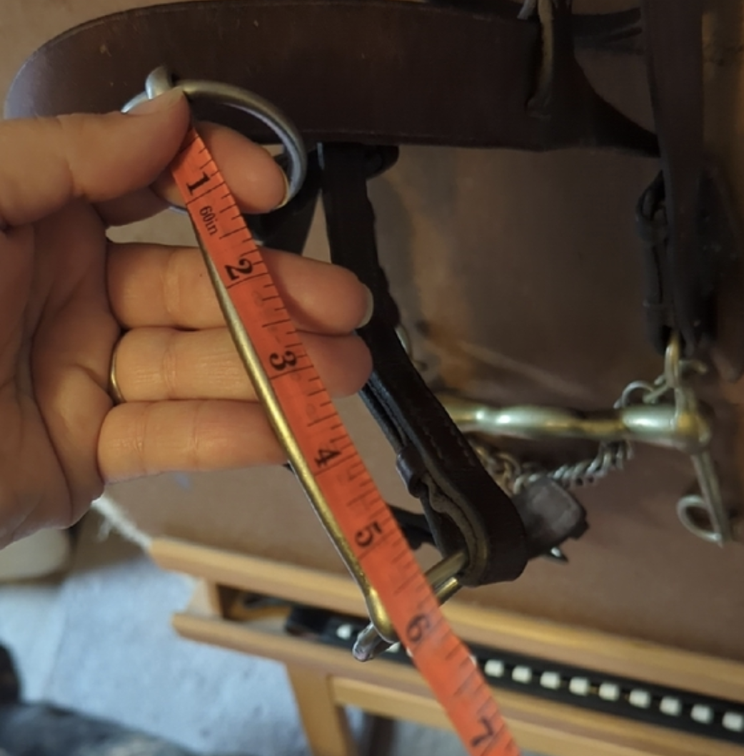 Double bridle