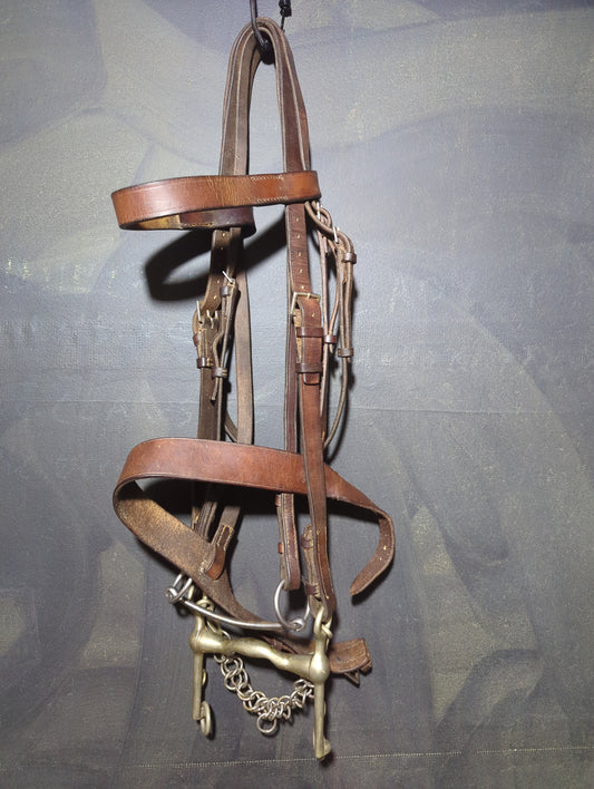 Double bridle