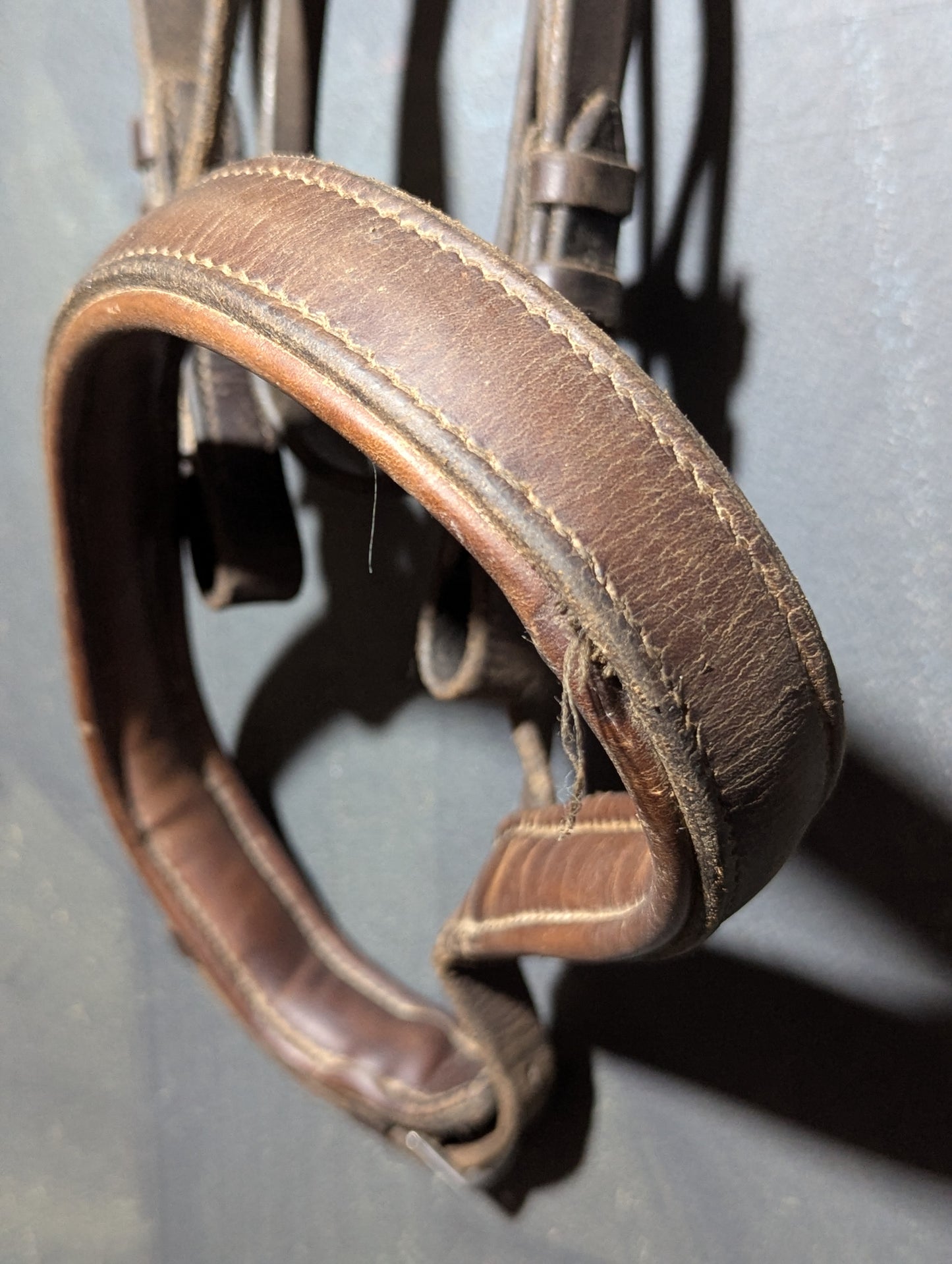 Campbell England bridle