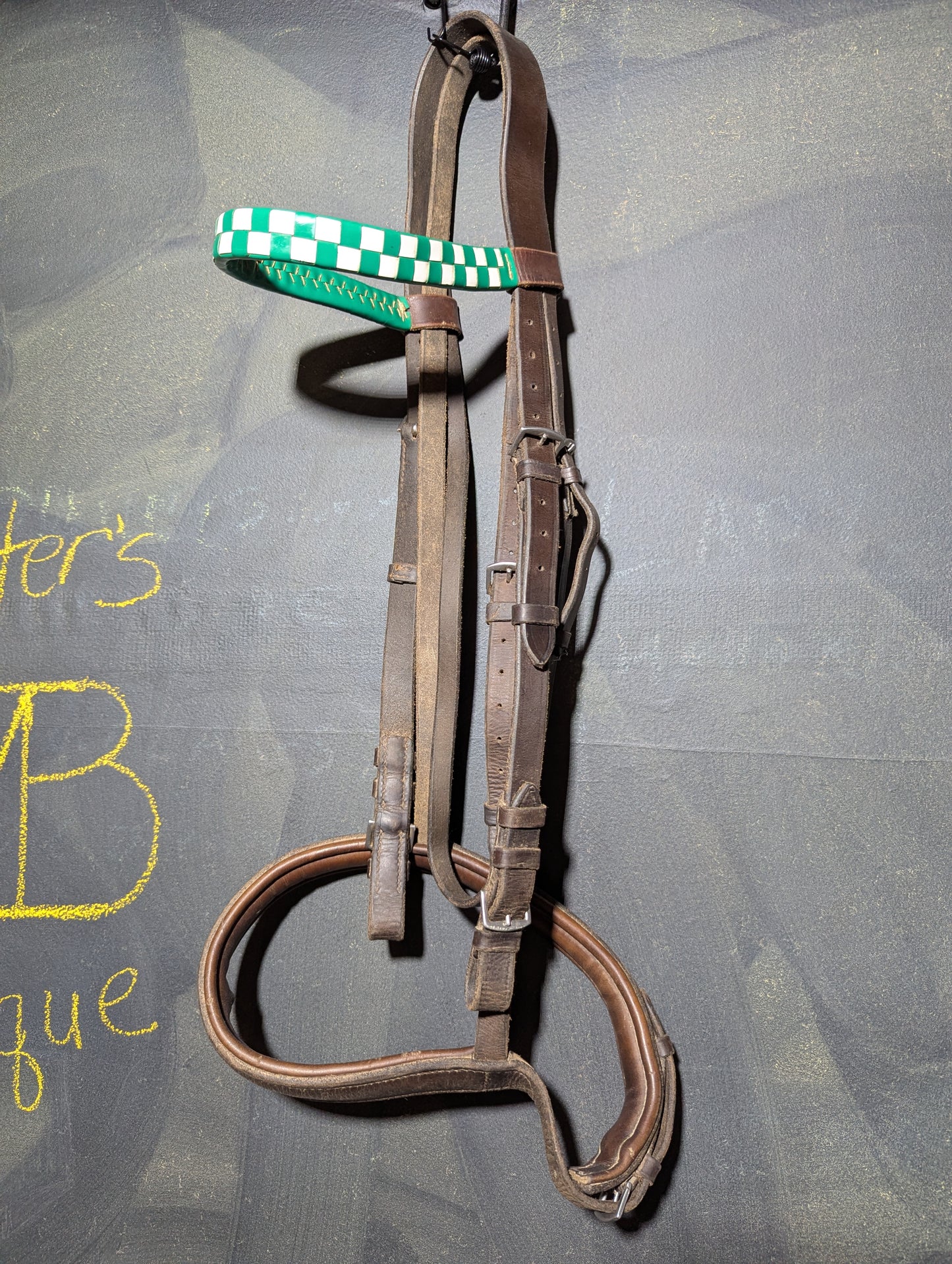 Campbell England bridle