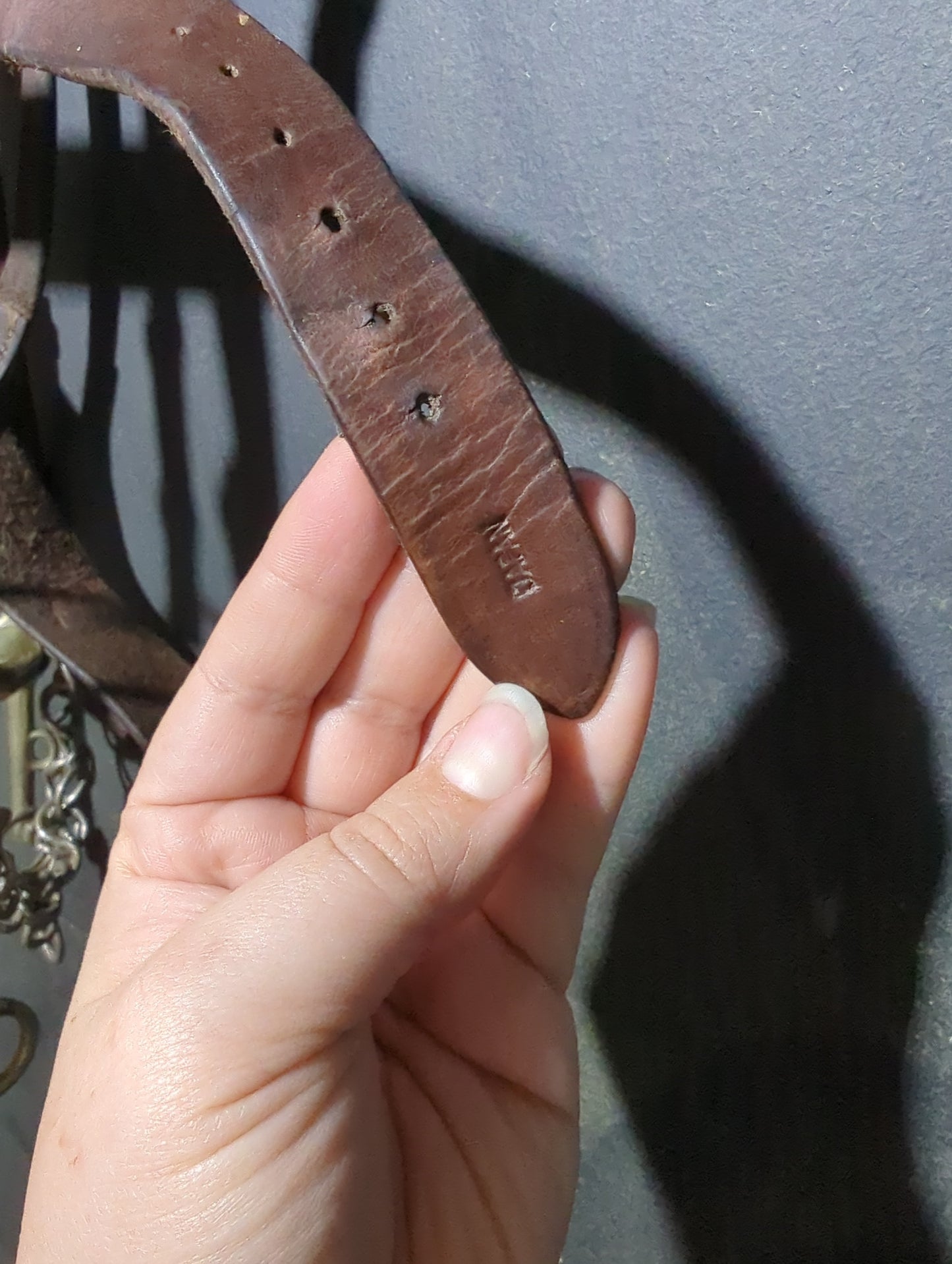 Double bridle