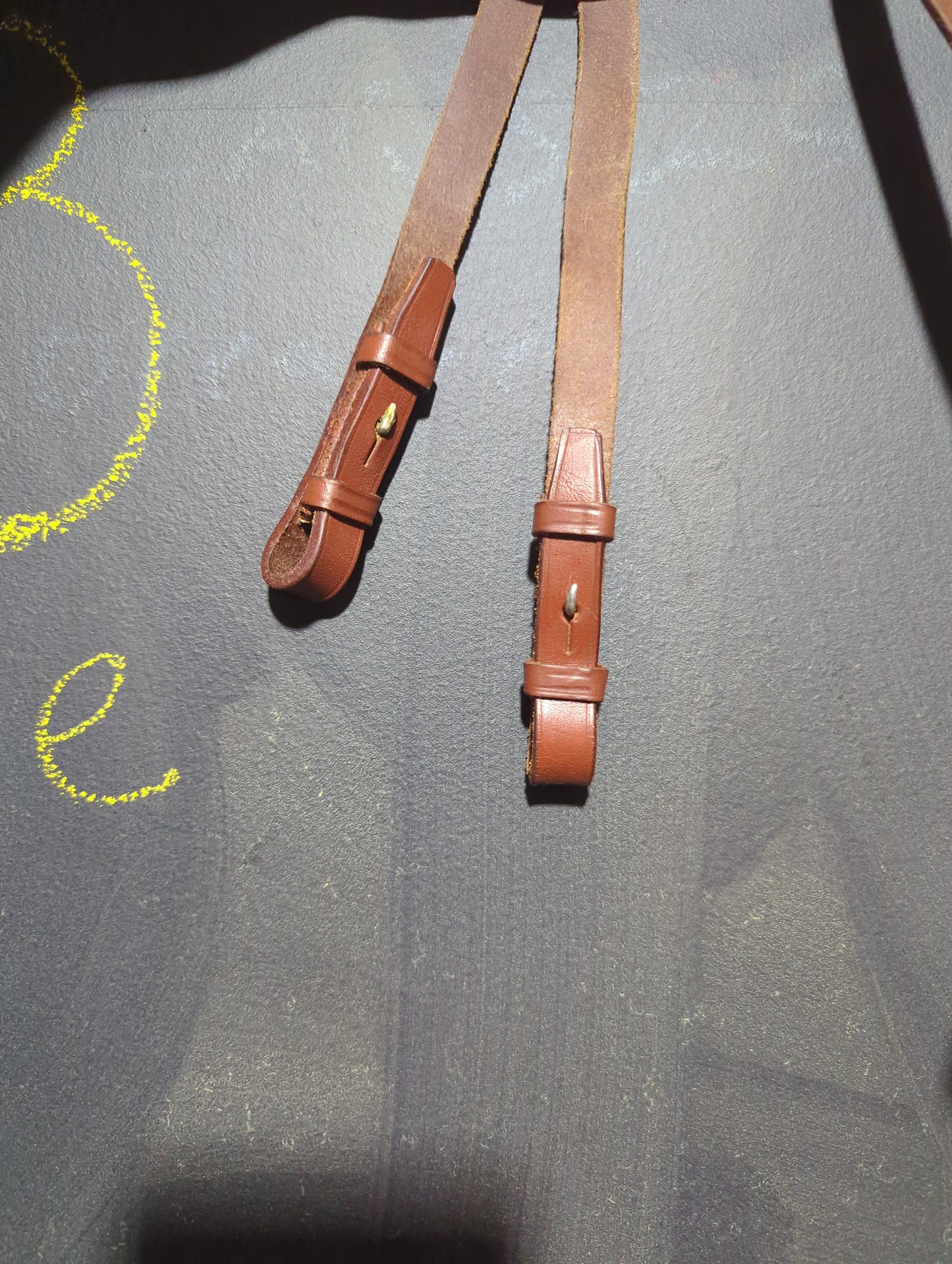 Brown Leather Reins