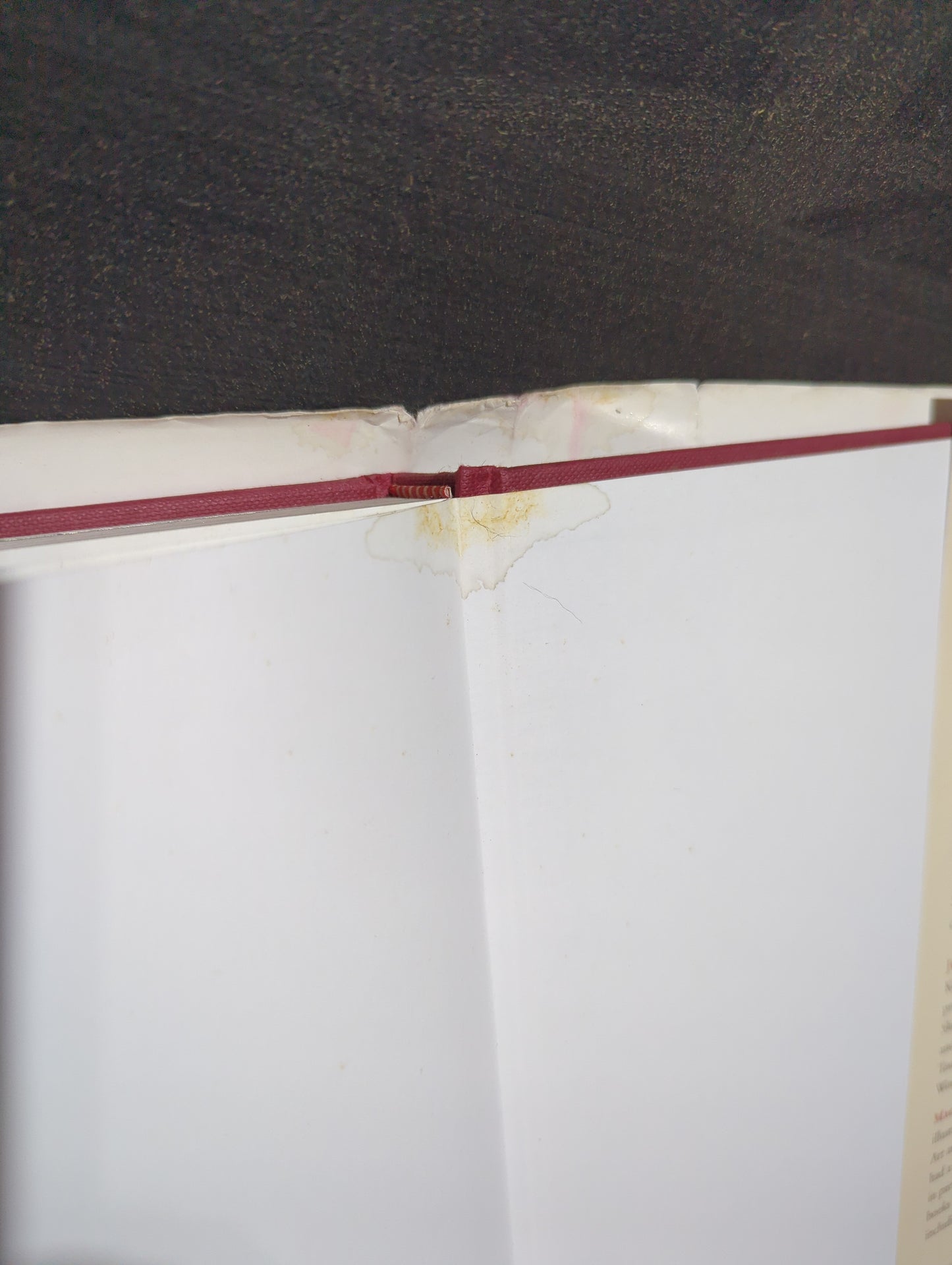 Kottas On Dressage book