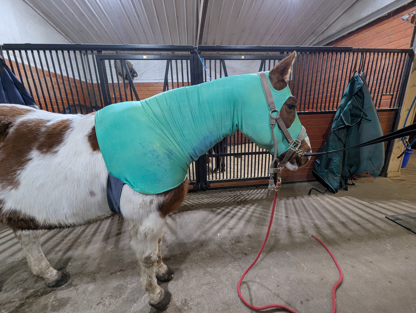 Teal Sleezy Zippered Front