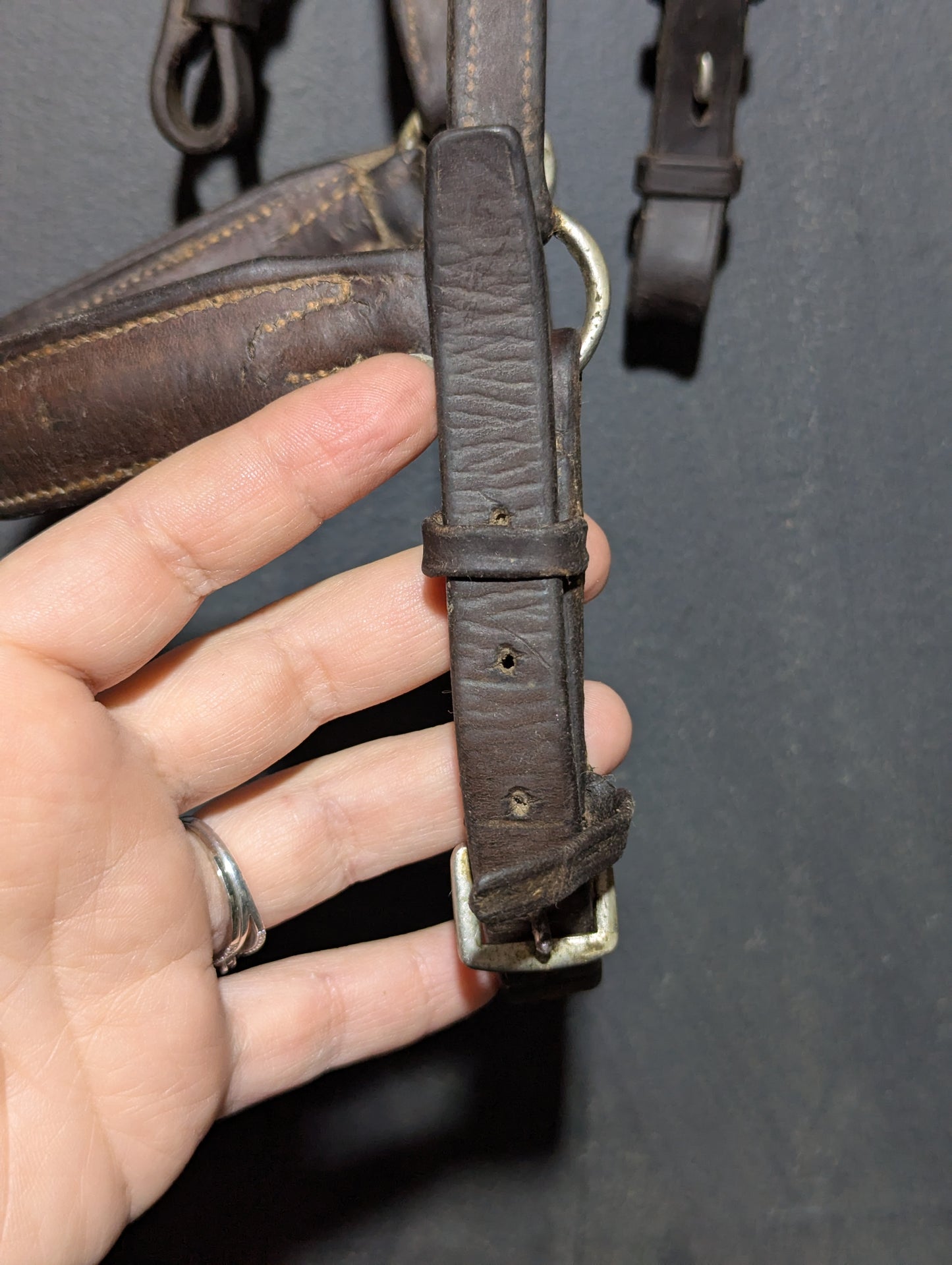 Campbell England Drop Noseband Bridle