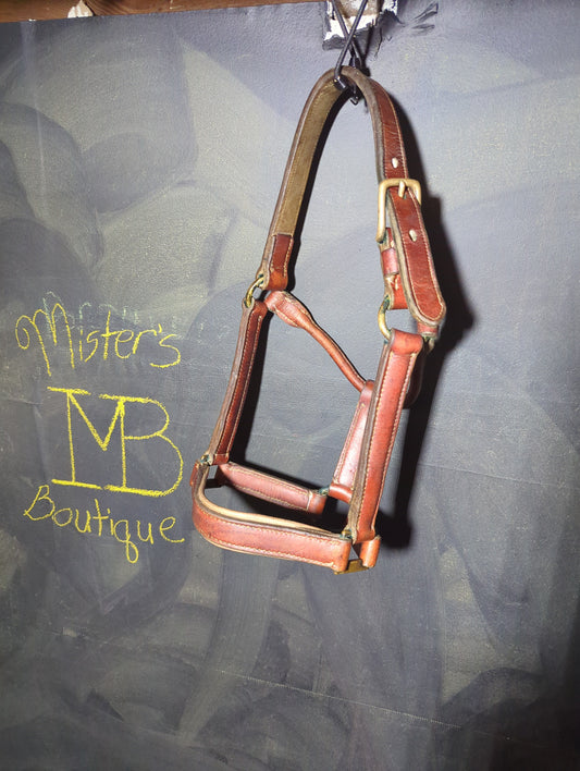 Heavy Leather Halter